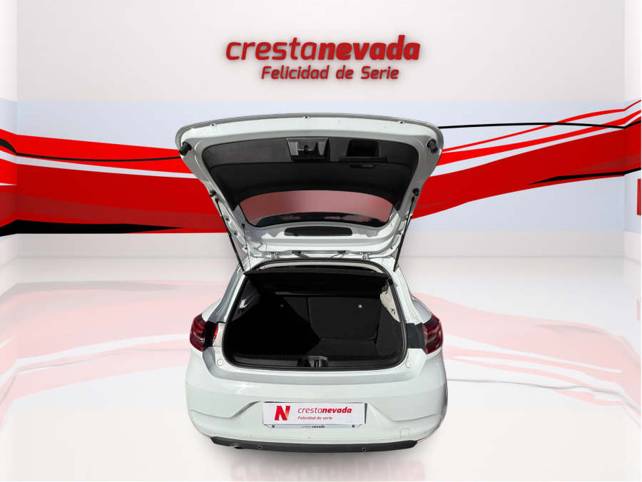 Imagen de Renault Clio