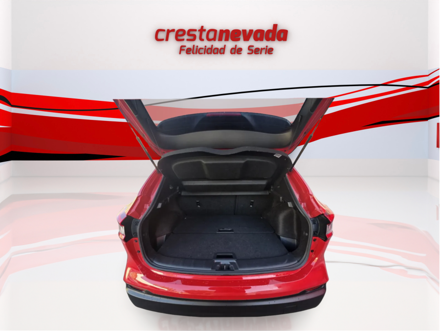 Imagen de NISSAN QASHQAI