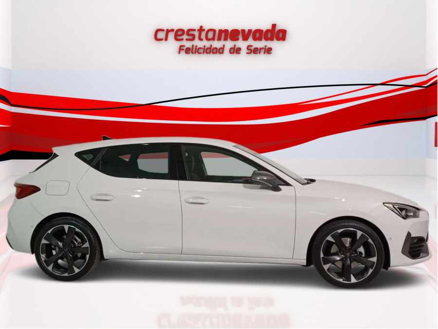 Imagen de cupra León