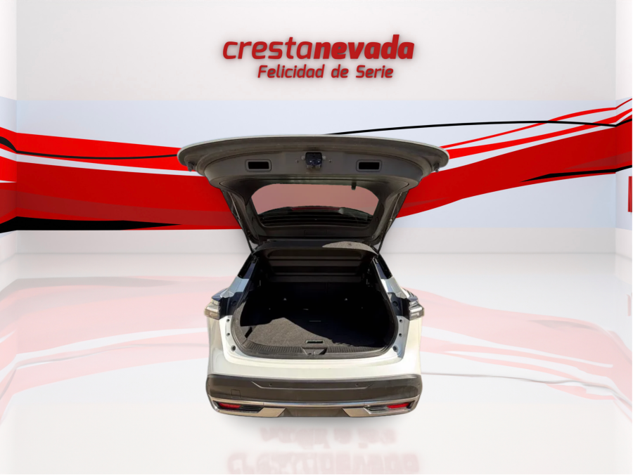 Imagen de NISSAN QASHQAI