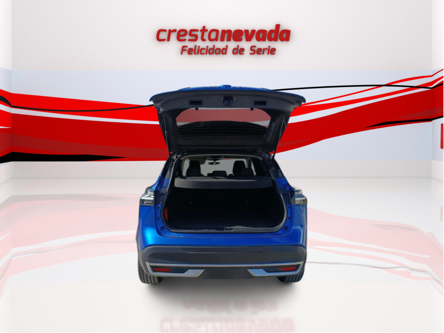 Imagen de NISSAN QASHQAI