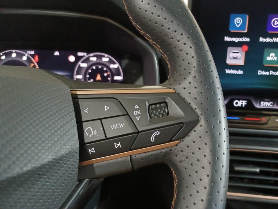 Imagen de cupra León