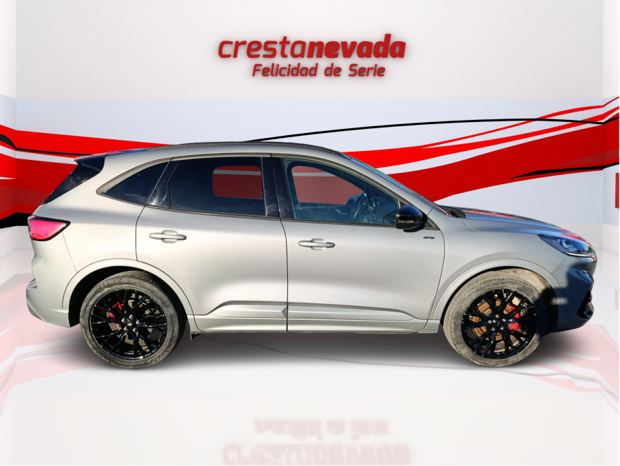Imagen de Ford Kuga