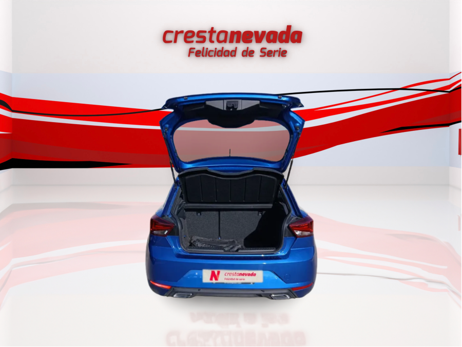 Imagen de SEAT Ibiza