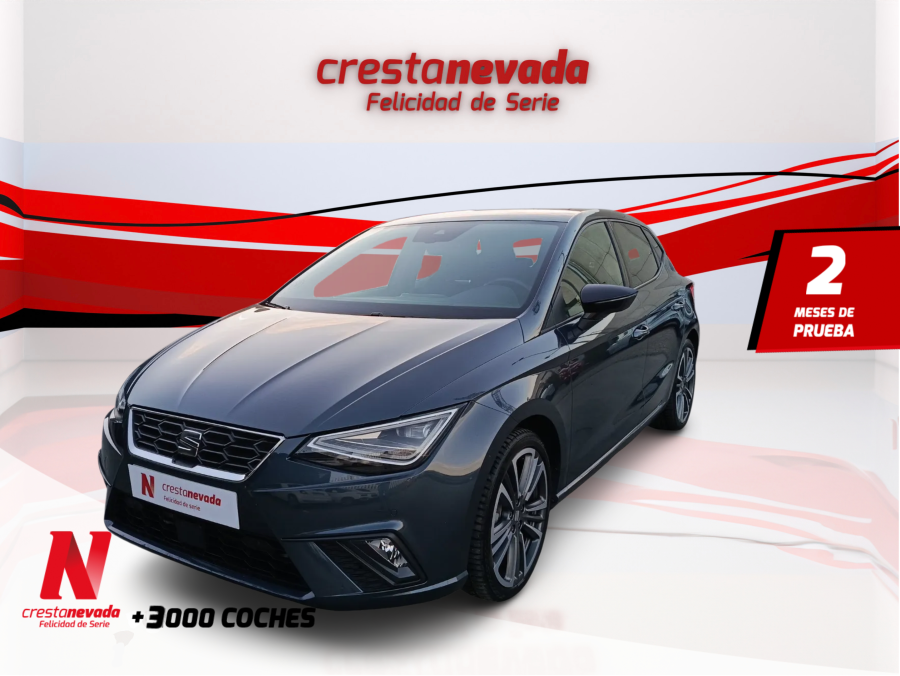 Imagen de SEAT Ibiza