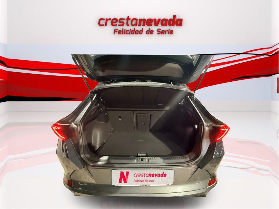 Imagen de cupra Formentor