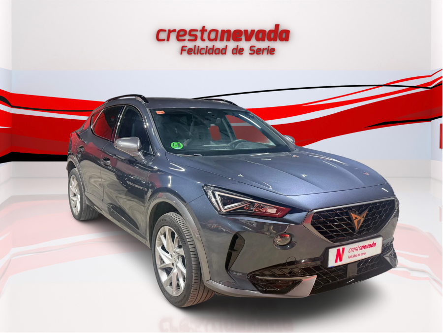 Imagen de cupra Formentor