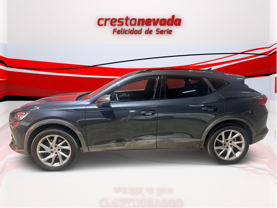 Imagen de cupra Formentor