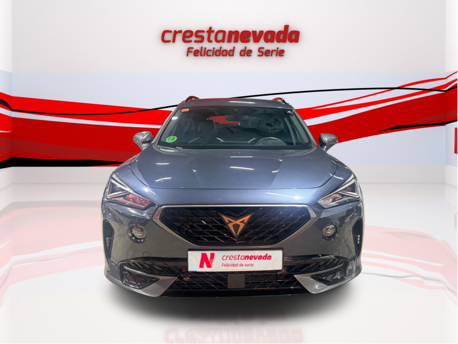 Imagen de cupra Formentor