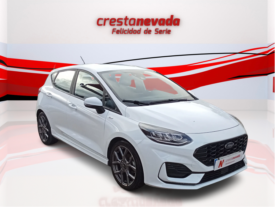 Imagen de Ford Fiesta