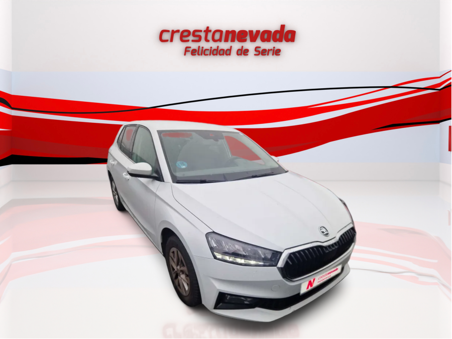 Imagen de Skoda Fabia