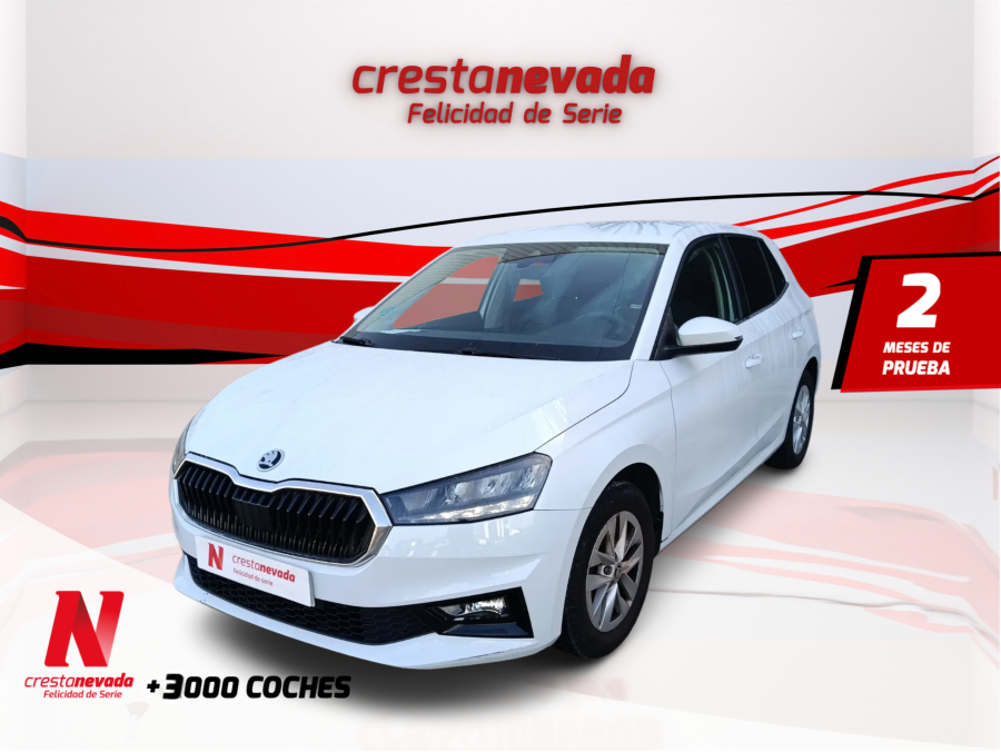 Imagen de Skoda Fabia