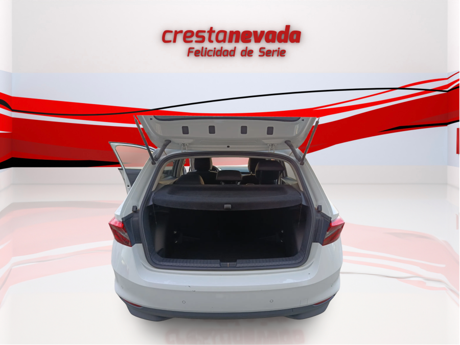 Imagen de Skoda Fabia