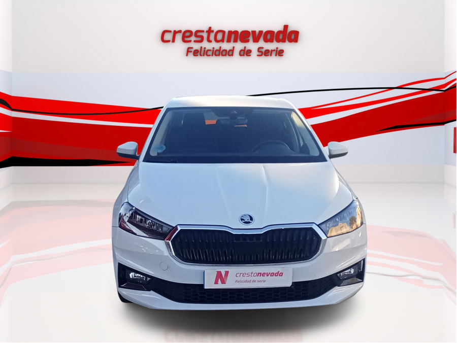 Imagen de Skoda Fabia