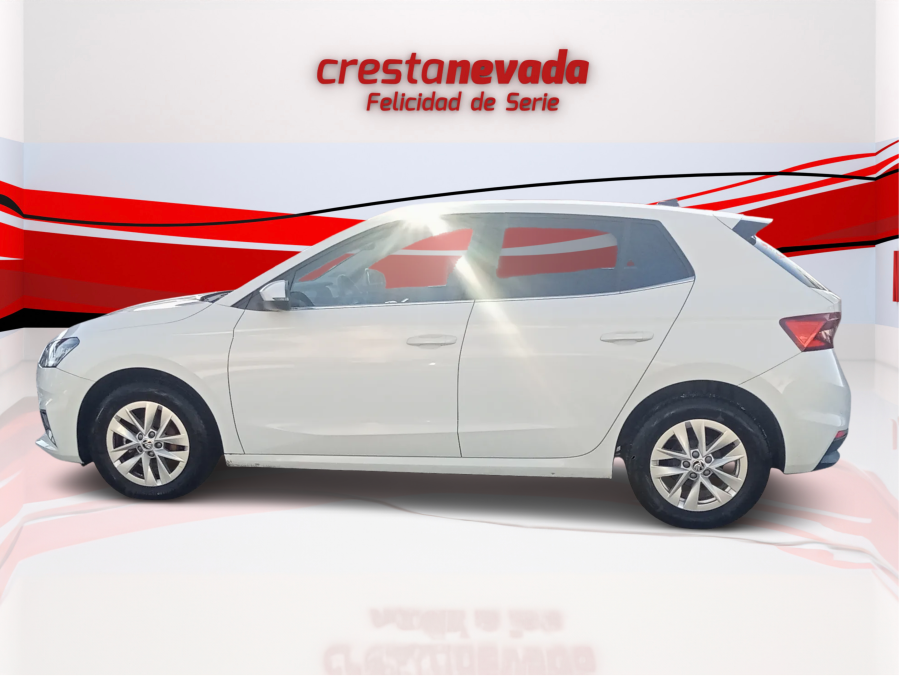Imagen de Skoda Fabia