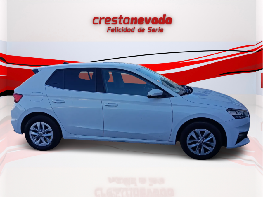 Imagen de Skoda Fabia