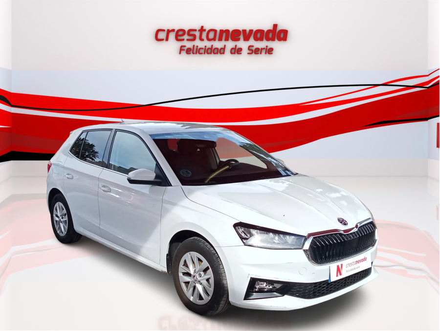 Imagen de Skoda Fabia