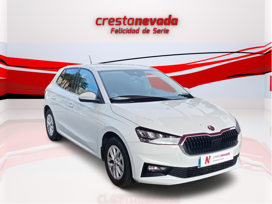 Imagen de Skoda Fabia