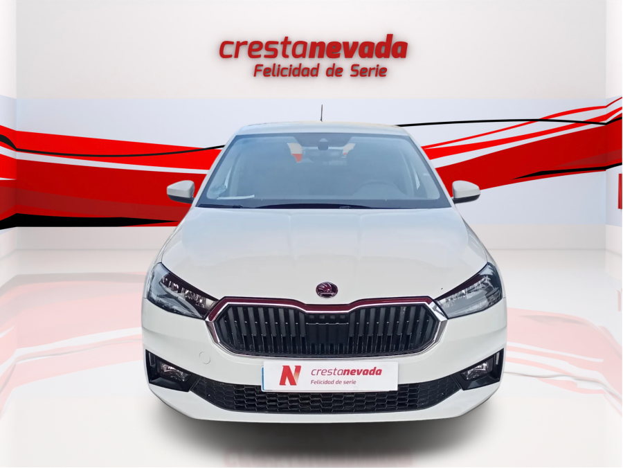 Imagen de Skoda Fabia