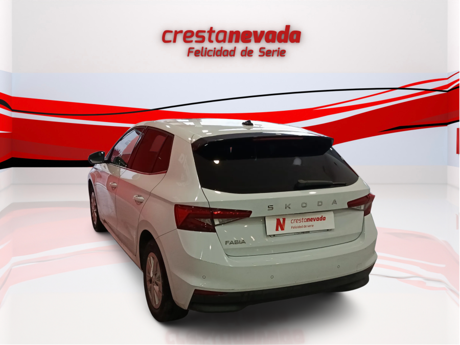 Imagen de Skoda Fabia