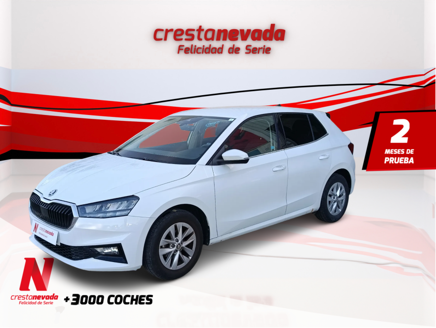 Imagen de Skoda Fabia