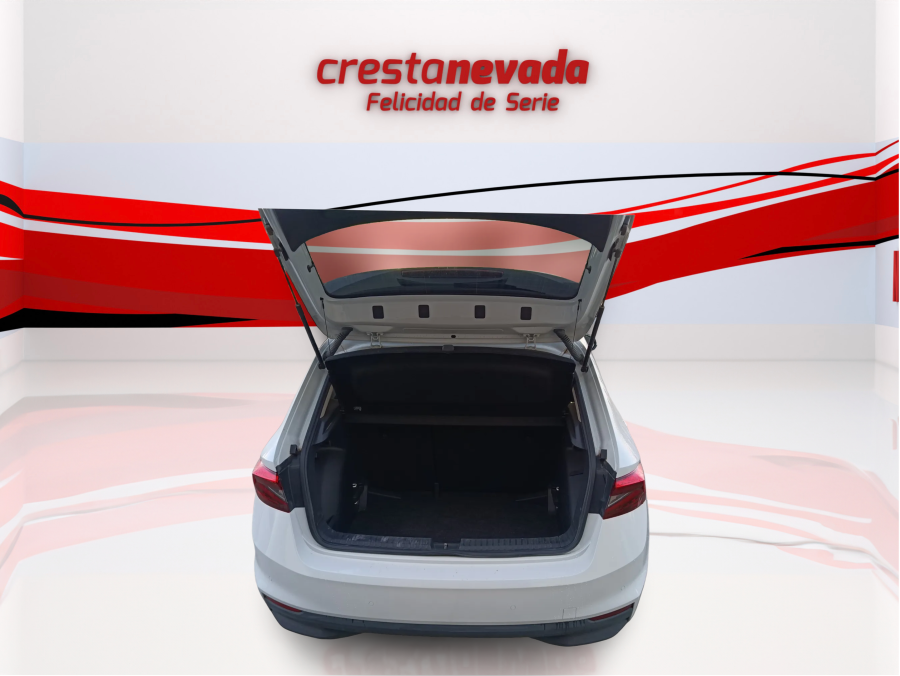 Imagen de Skoda Fabia