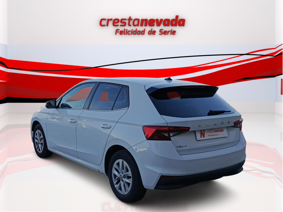 Imagen de Skoda Fabia