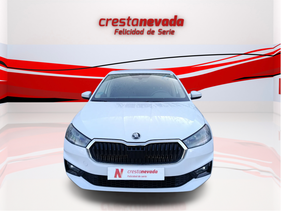 Imagen de Skoda Fabia