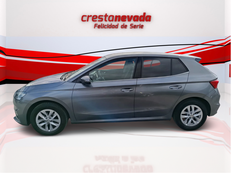 Imagen de Skoda Fabia