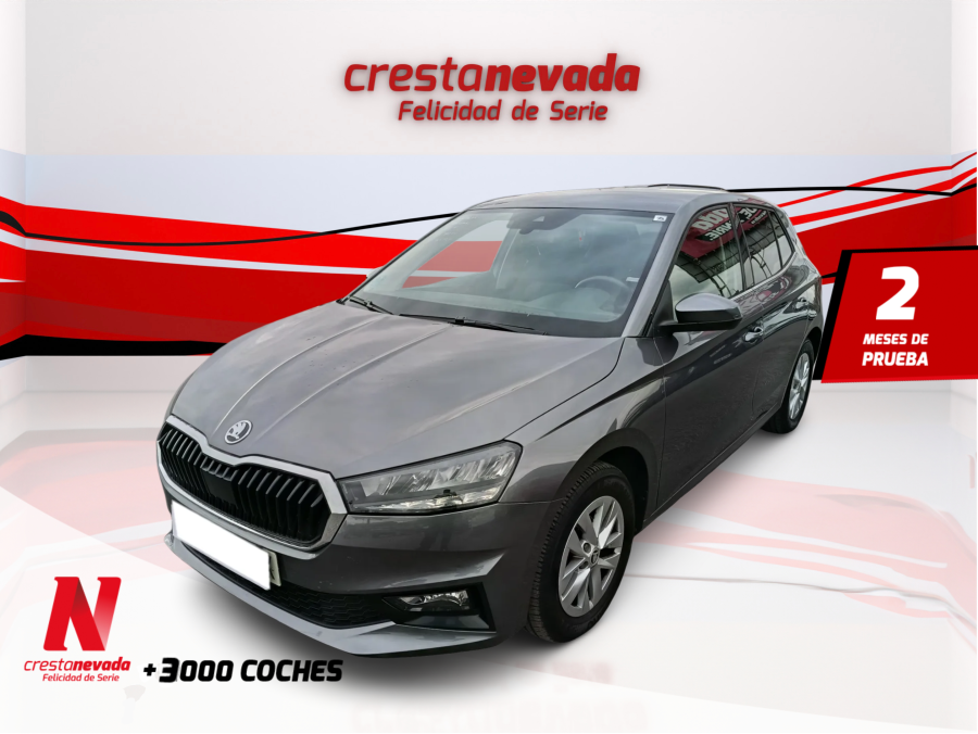 Imagen de Skoda Fabia