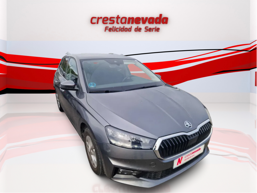 Imagen de Skoda Fabia