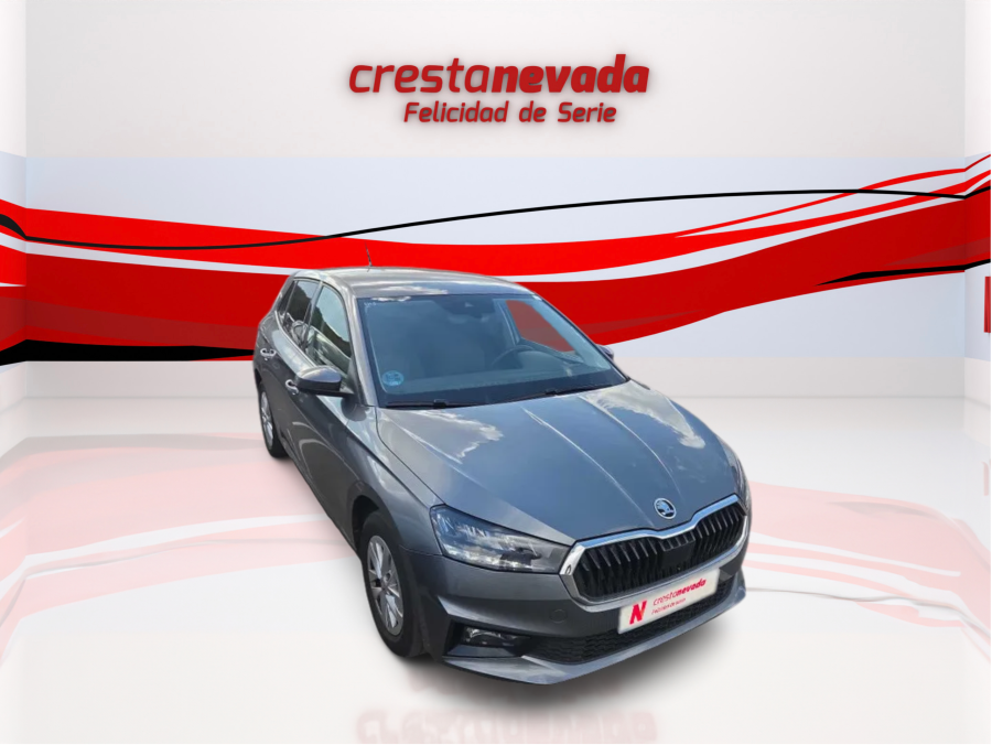 Imagen de Skoda Fabia