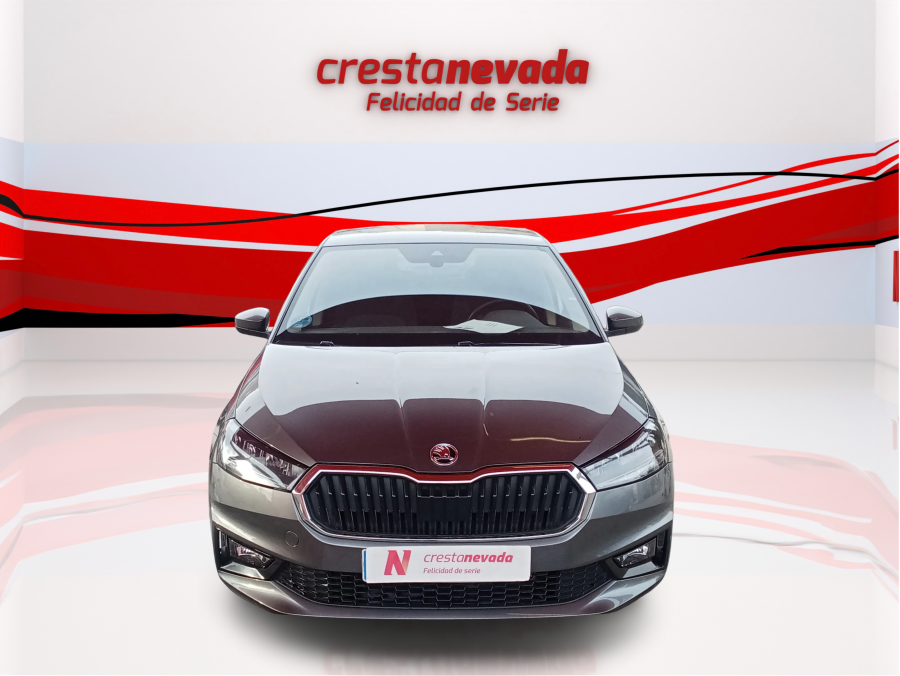 Imagen de Skoda Fabia