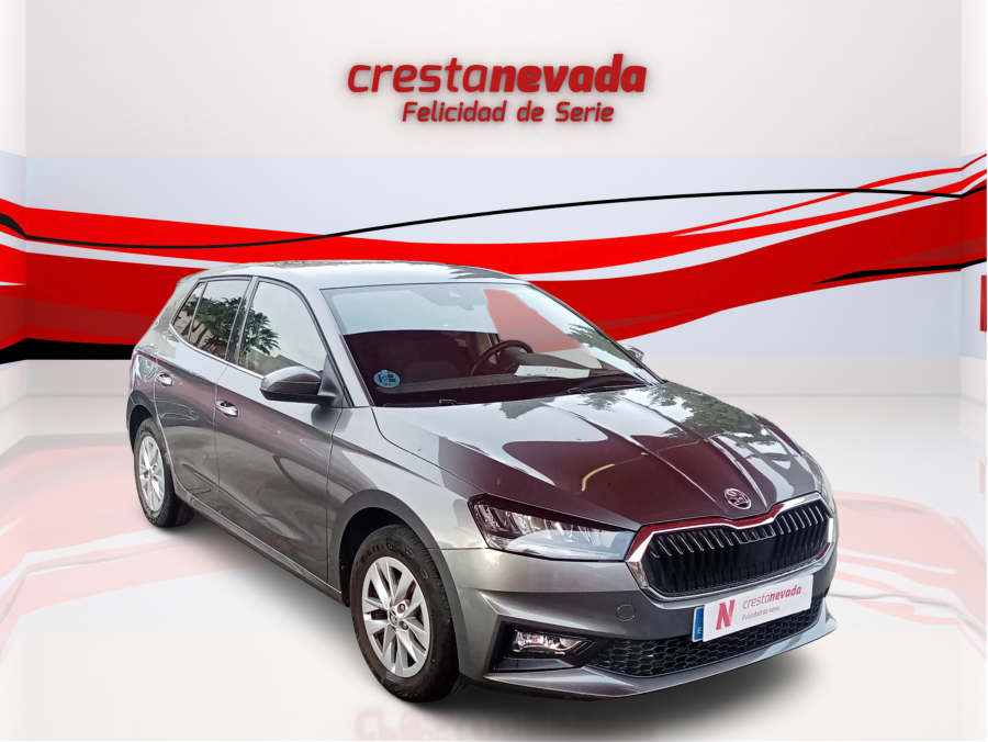 Imagen de Skoda Fabia