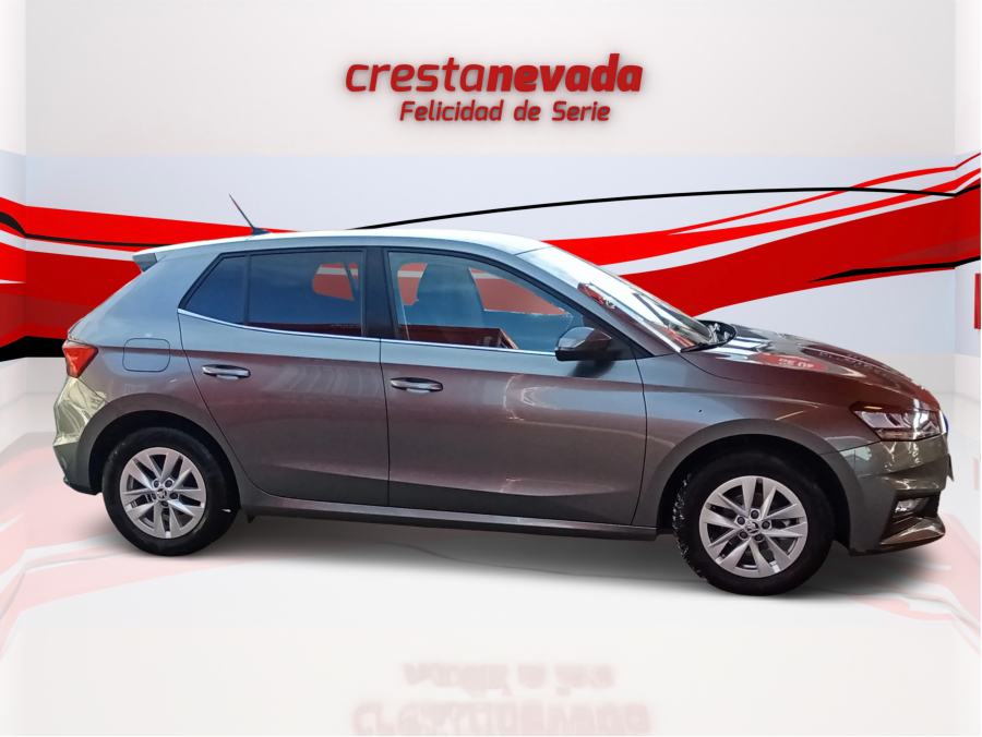 Imagen de Skoda Fabia