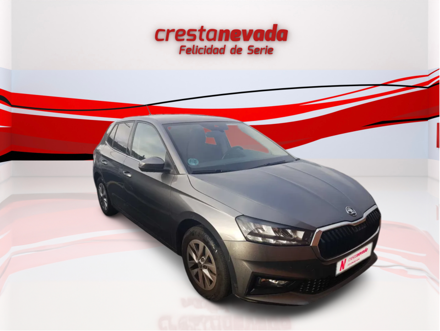 Imagen de Skoda Fabia