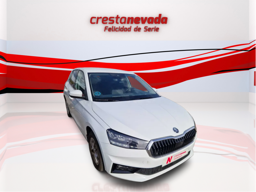 Imagen de Skoda Fabia