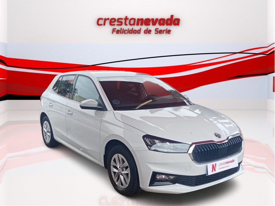 Imagen de Skoda Fabia