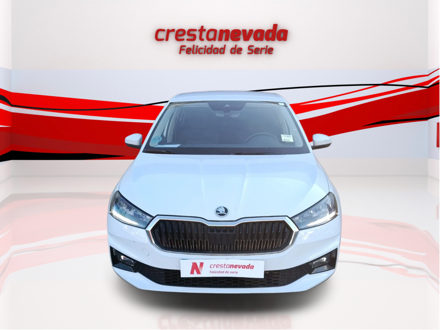 Imagen de Skoda Fabia