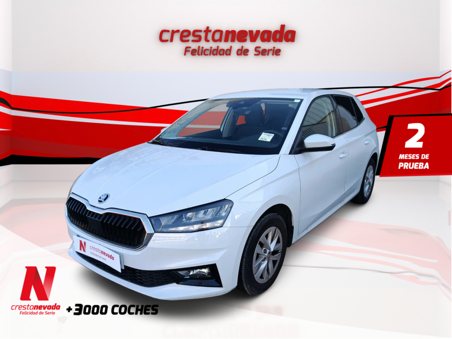 Imagen de Skoda Fabia