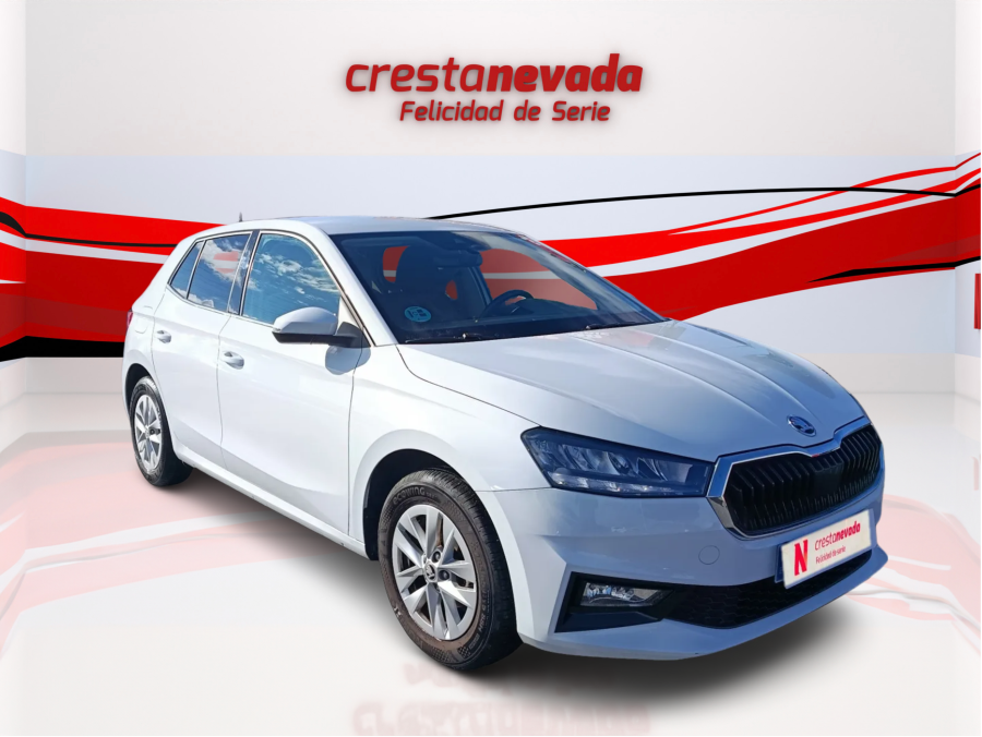 Imagen de Skoda Fabia