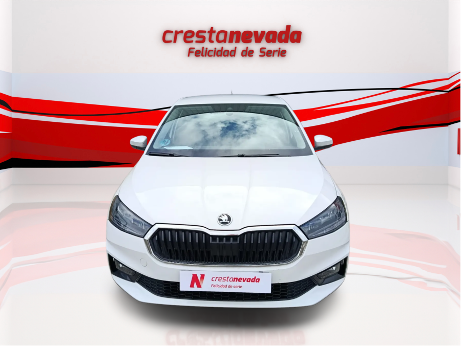 Imagen de Skoda Fabia