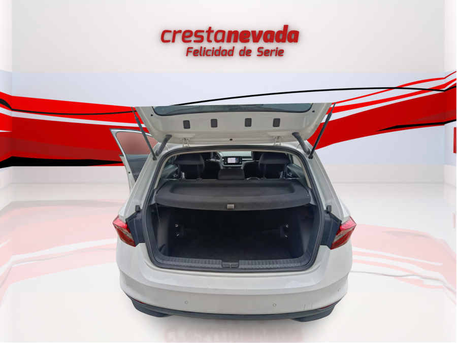 Imagen de Skoda Fabia