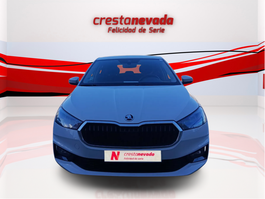 Imagen de Skoda Fabia