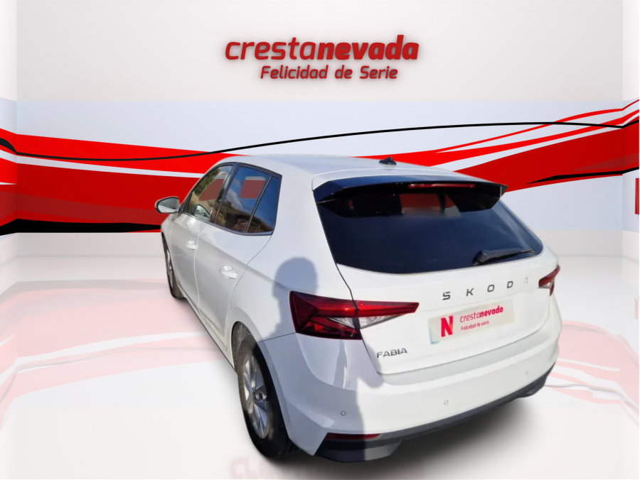 Imagen de Skoda Fabia