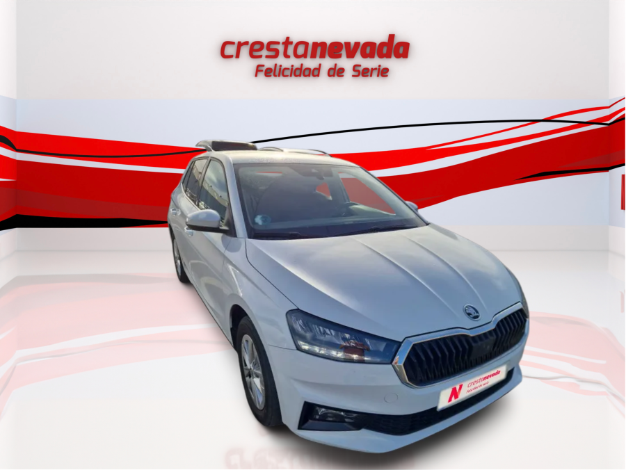 Imagen de Skoda Fabia