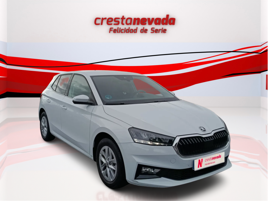 Imagen de Skoda Fabia