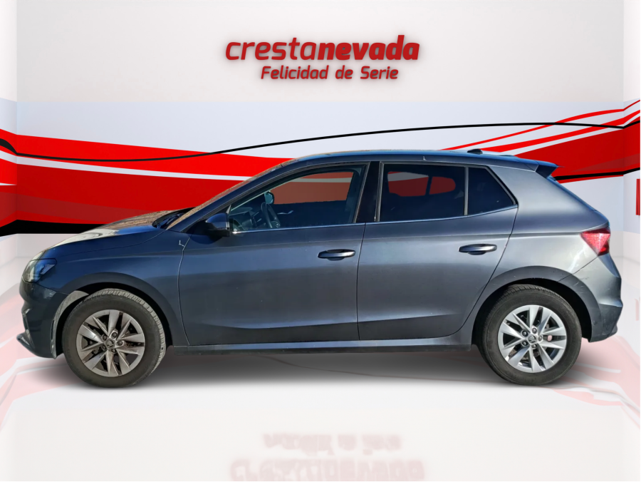 Imagen de Skoda Fabia