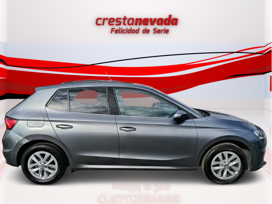 Imagen de Skoda Fabia