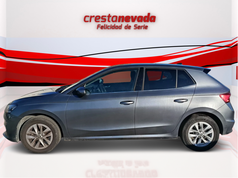 Imagen de Skoda Fabia